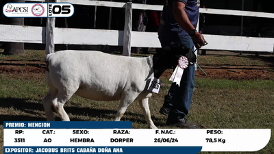 Lote LOTE 5