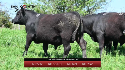 Lote LOTE 10 - ABERDEEN ANGUS PI Y PC