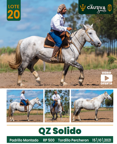 Lote LOTE 20