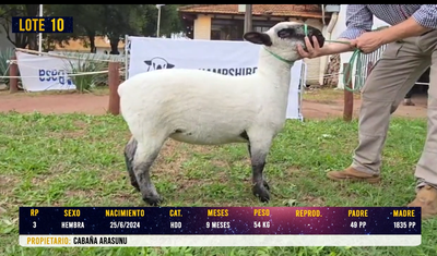 Lote LOTE 10