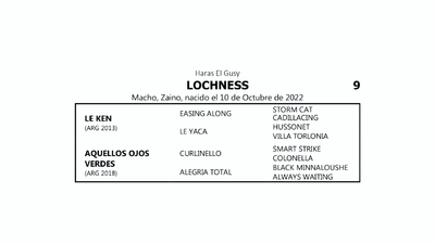 Lote LOCHNESS (LE KEN  -  AQUELLOS OJOS VERDES por CURLINELLO)