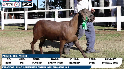 Lote LOTE 23