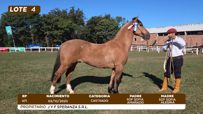 Lote LOTE 4