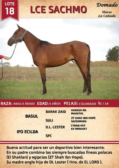 Lote LCE SACHMO