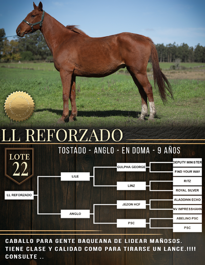  LL REFORZADO