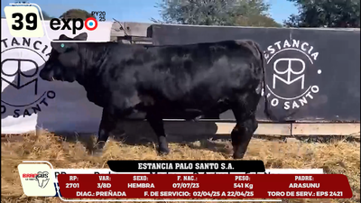 Lote LOTE 39