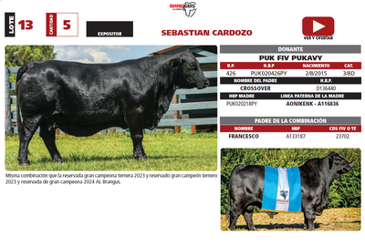 Lote LOTE 13