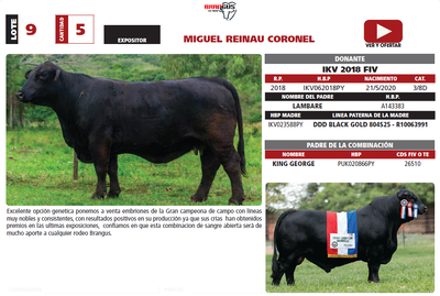 Lote LOTE 9