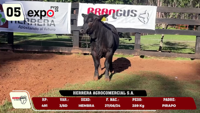 Lote LOTE 5