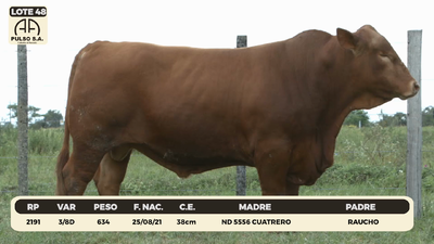 Lote LOTE 48