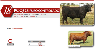 Lote MACHO PC