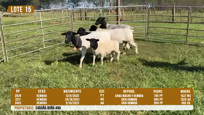 Lote LOTE 15
