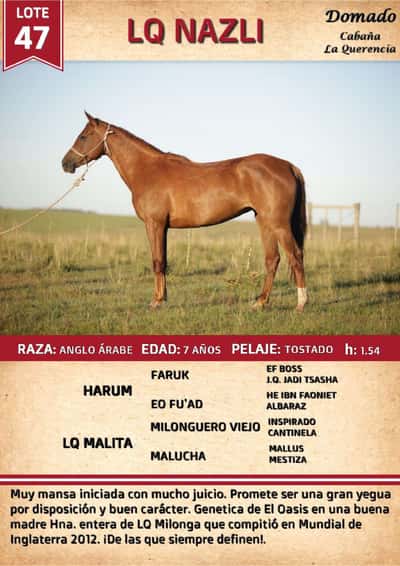 Lote LQ NAZLI