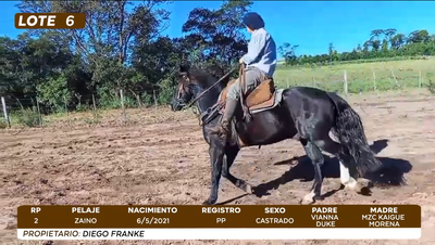 Lote LOTE 6- BOZAL