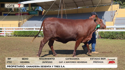 Lote LOTE 7