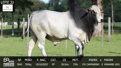 Lote LOTE 33