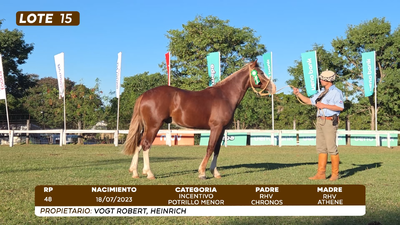 Lote LOTE 15