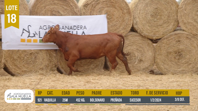 Lote LOTE 18