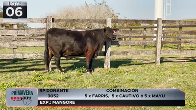 Lote LOTE 6
