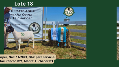 Lote PP