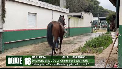 Lote Lote 18