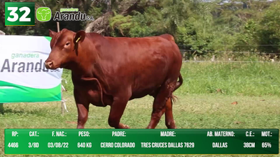 Lote LOTE 32