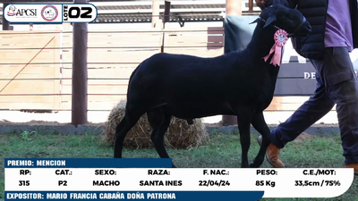 Lote LOTE 2