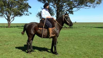 Lote PITUCA LA CARRETA