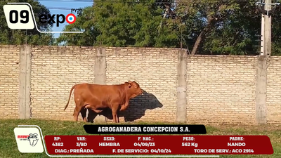 Lote LOTE 9