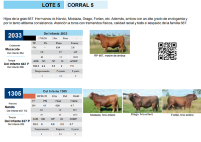 Lote CORRAL 5