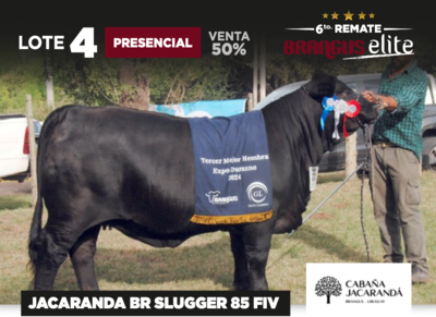 Lote JACARANDA BR SLUGGER 85 FIV - CABAÑA JACARANDA