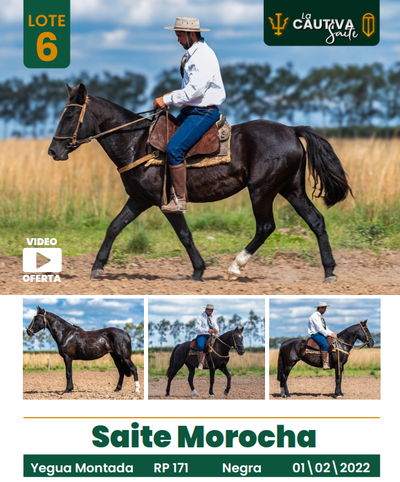 Lote LOTE 6