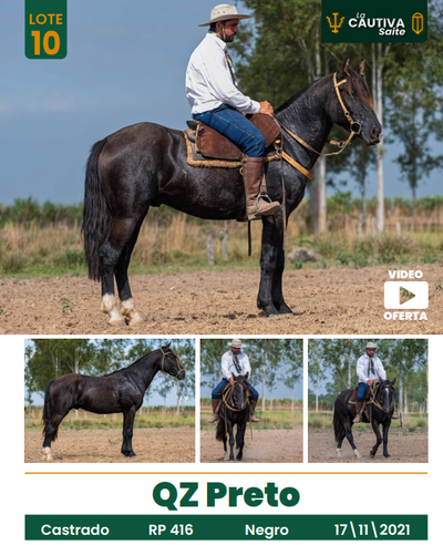Lote LOTE 10