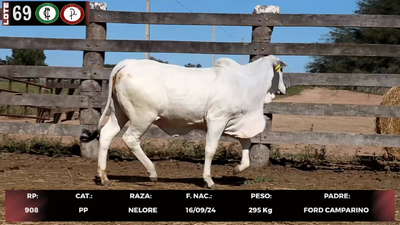 Lote LOTE 69