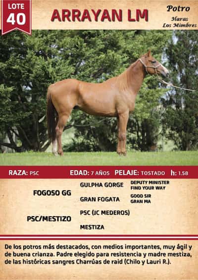 Lote ARRAYAN LM