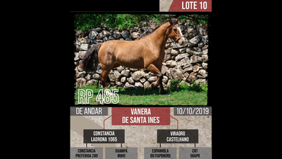 Lote VANERA  DE SANTA INES