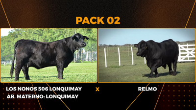 Lote PACK 2