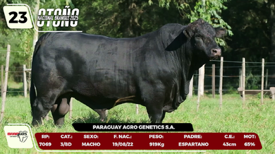 Lote LOTE 23