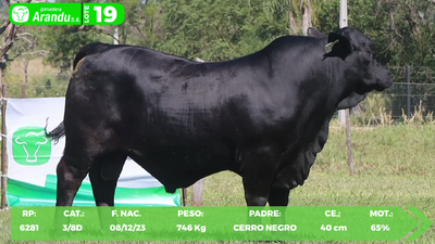 Lote LOTE 19