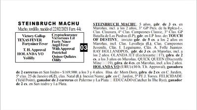 Lote STEINBRUCH MACHU