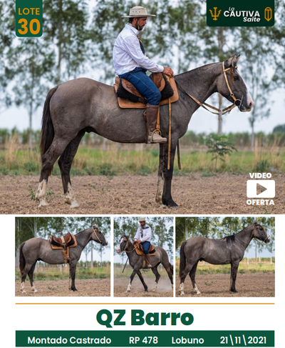 Lote LOTE 30