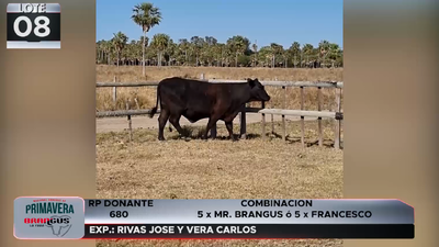 Lote LOTE 8