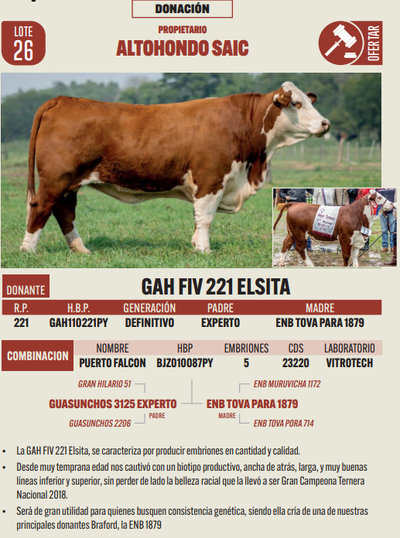 Lote LOTE 26