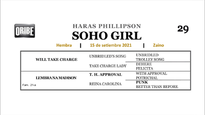 Lote SOHO GIRL