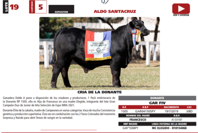 Lote LOTE 19