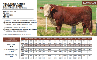 Lote RDA LONGE RANGE VISIONARY LONG  (GRUPO 2)