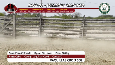 Lote Insp 3