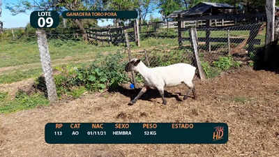 Lote LOTE 9