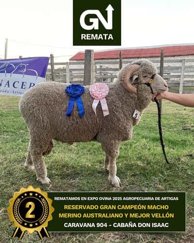Lote DON ISAAC