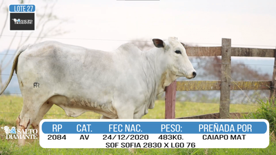 Lote LOTE 27